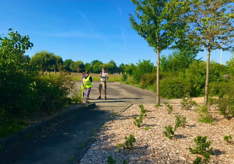 actu-Gestion des espaces verts pour les stagiaires TJEV