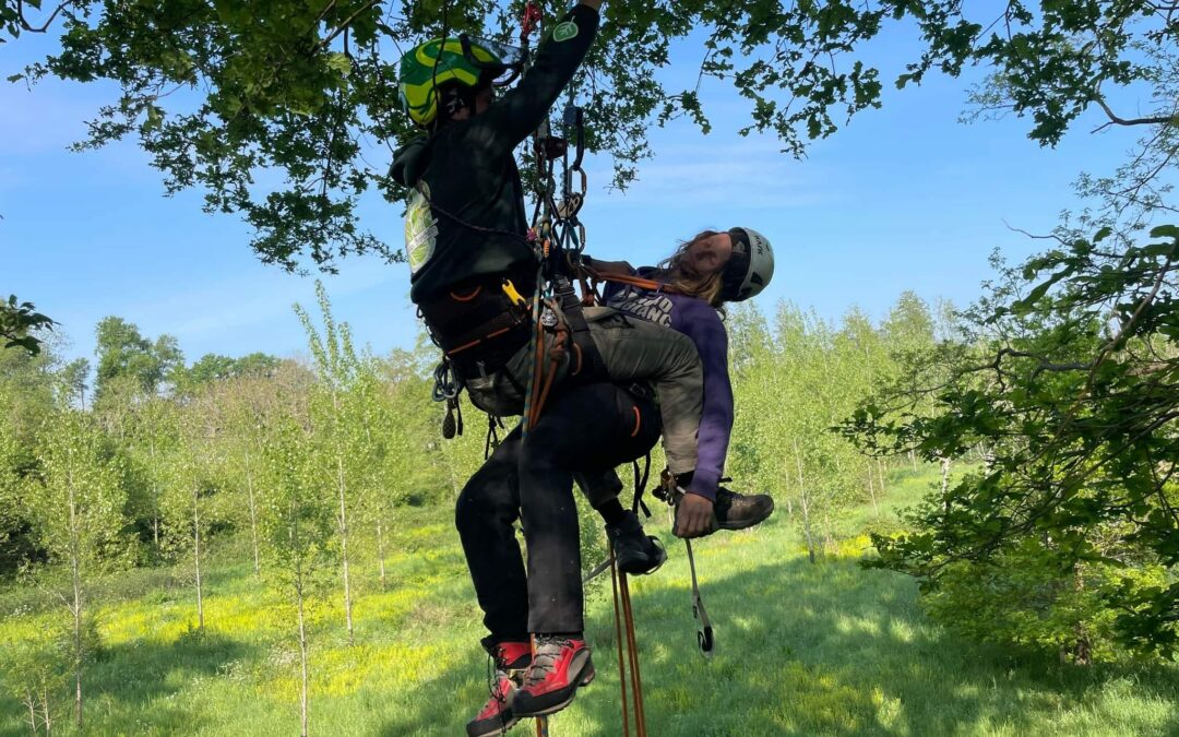 actu-Grimpeur Sauveteur dans l’ Arbre!