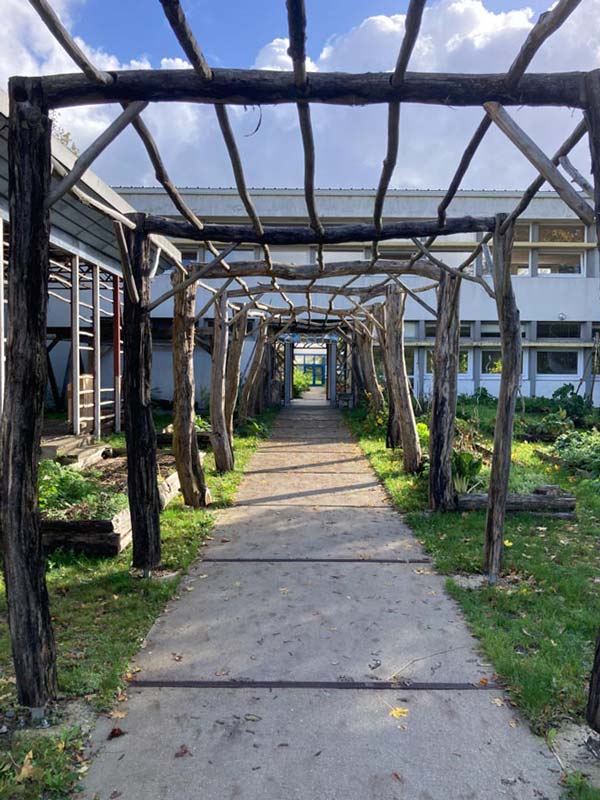 Chemin dans un jardin scolaire au CFP-MFR La Ferrière, avec structure en bois pour activités en plein air.